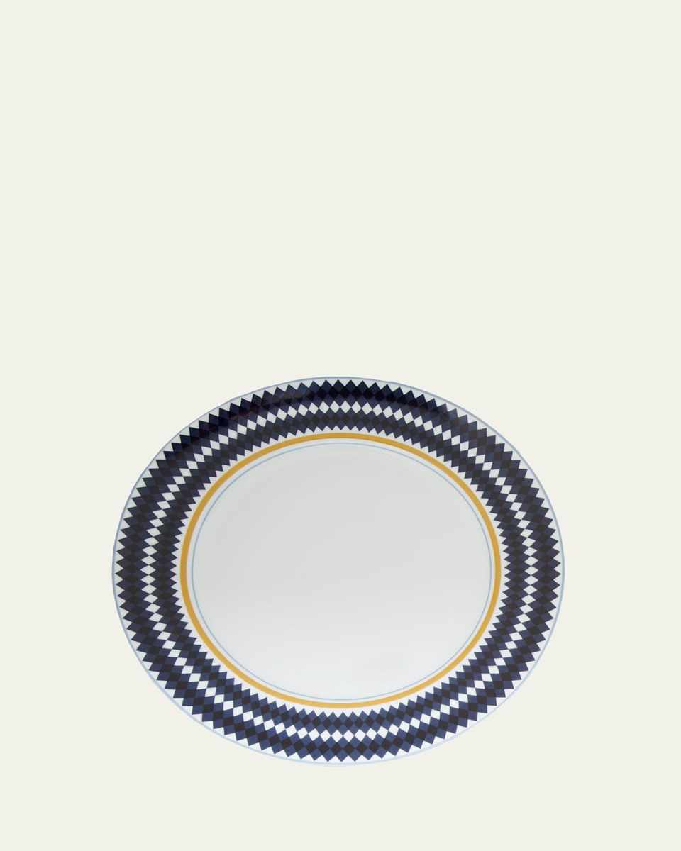 Evolucion Dinner Plates, Set of 4